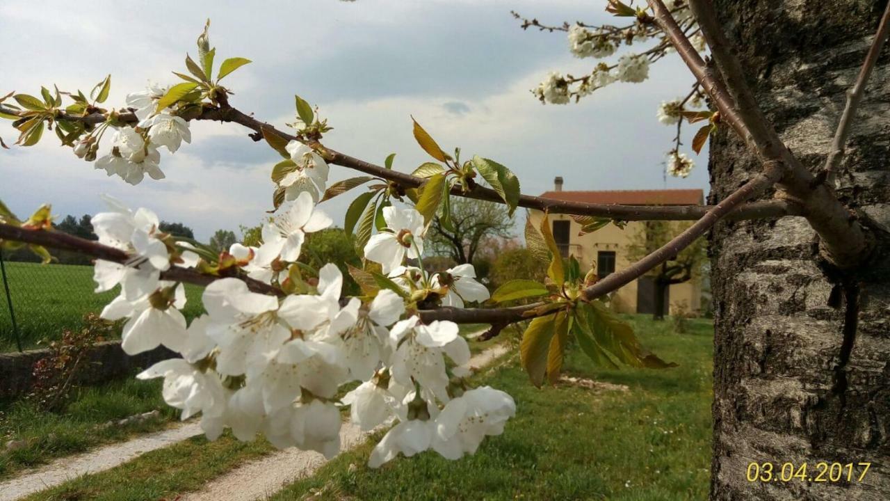 B&B Fior Fiore Spello Zewnętrze zdjęcie